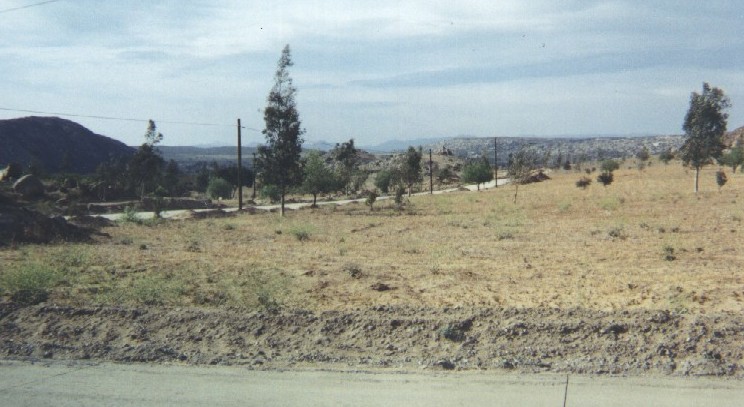 rbel.jpg