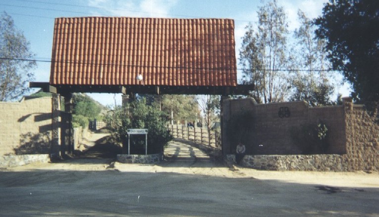 rbel1.jpg